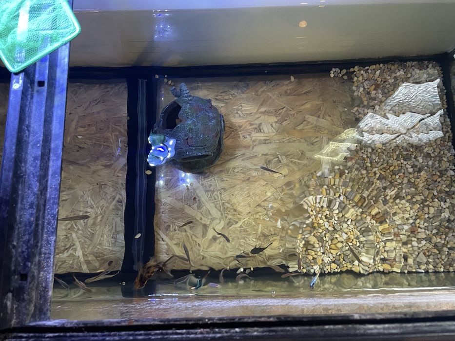 Vendo aquário de 200 l com 27 peixes