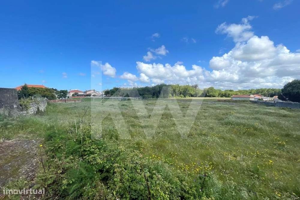 Grande Terreno Rústico Com 5.050 M2, Localizado Na Murtosa
