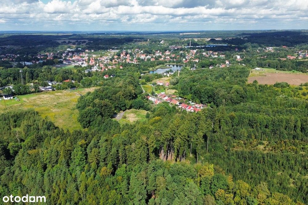 Zdjęcie 8