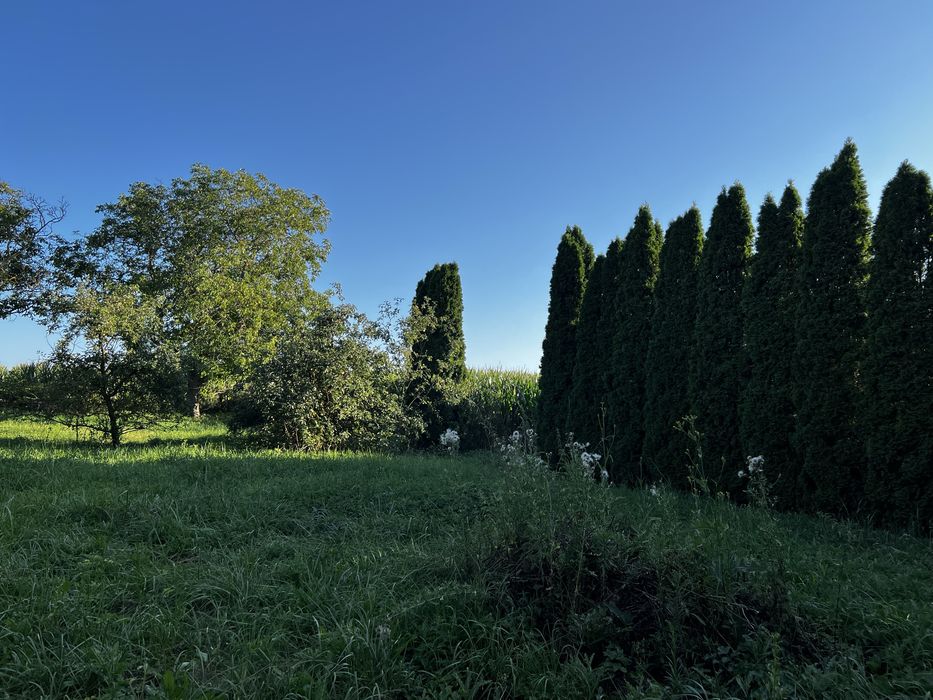 Zdjęcie 4