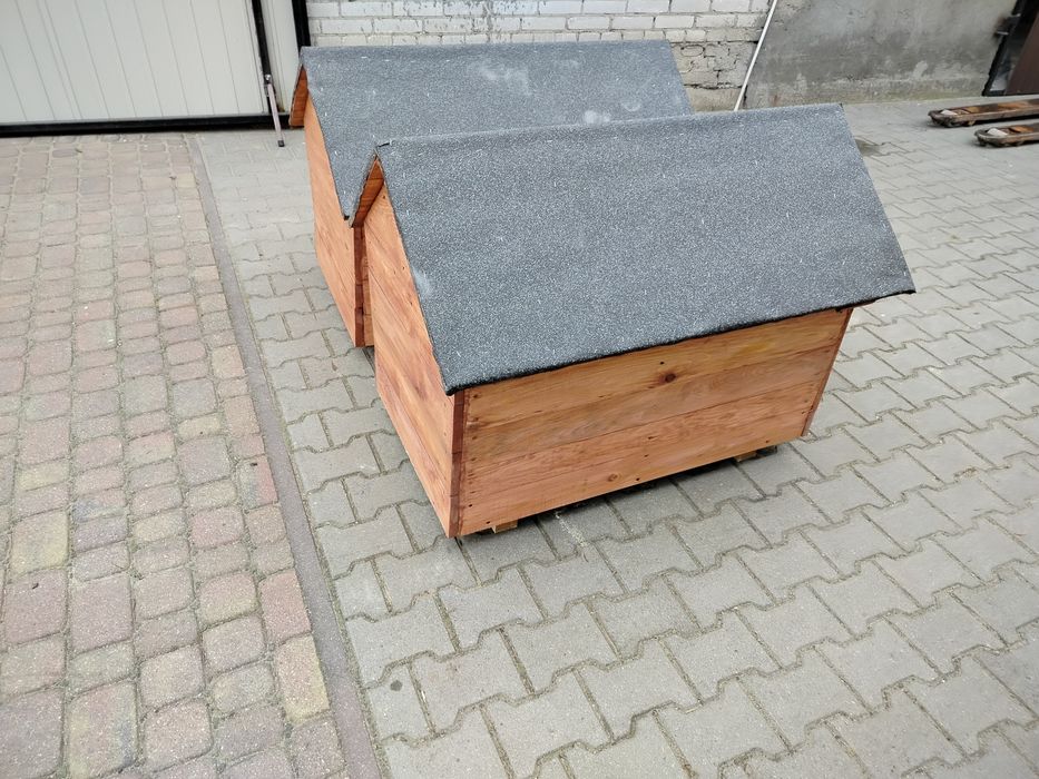 Buda dla psa solidna