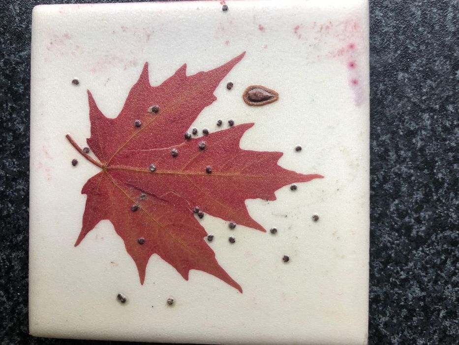 Artesanato Folha Plátano Canadá em vidro  (Oferta Magneto)