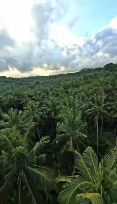 3-rooms apartment apartment by the address (area 100 m²) - Atlanta.ua - photo 4