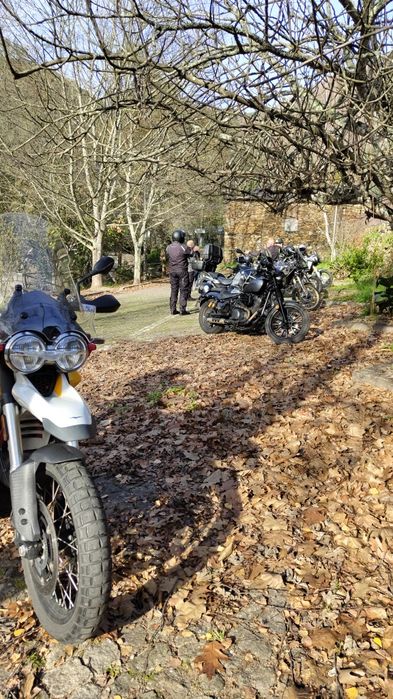 Moto Guzzi V85 TT