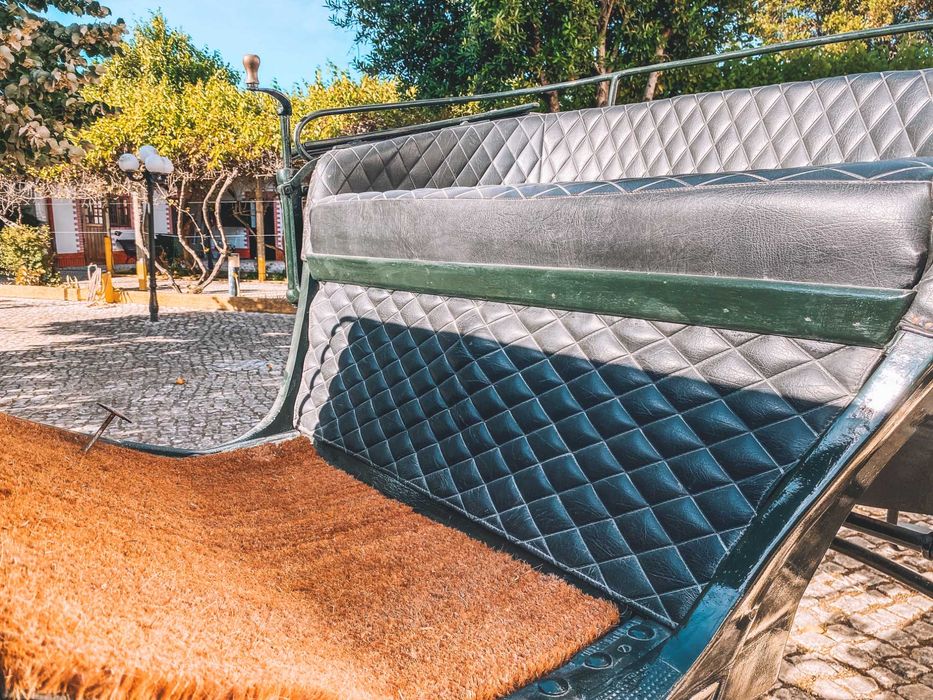 Charrete de cavalos - Break