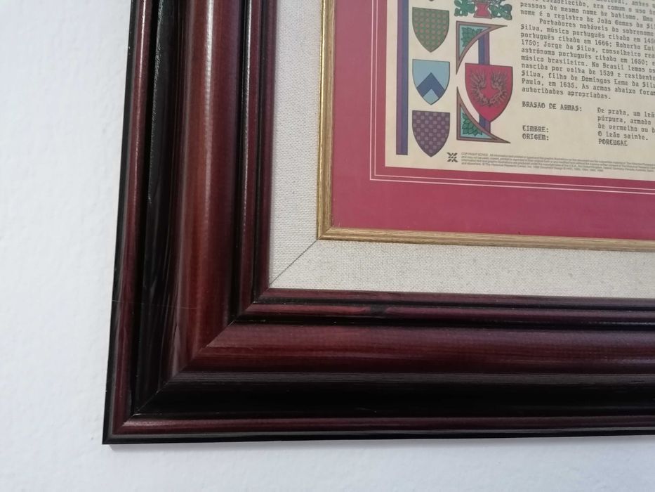 Moldura com história do nome de família Silva