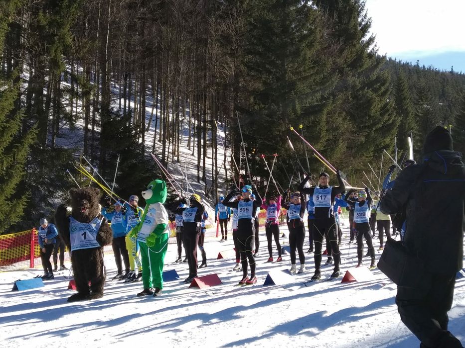 Domek do wynajęcia Stronie Śląskie