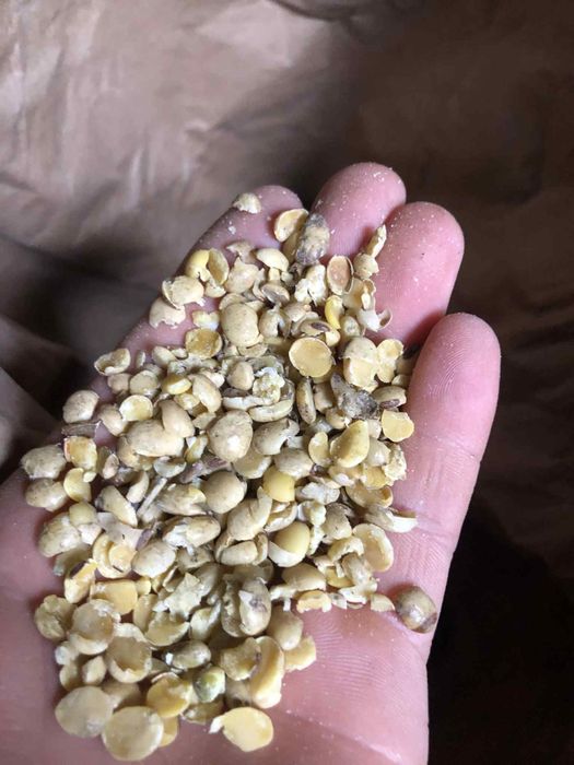 Soja grubo mielona 25 kg wysylka