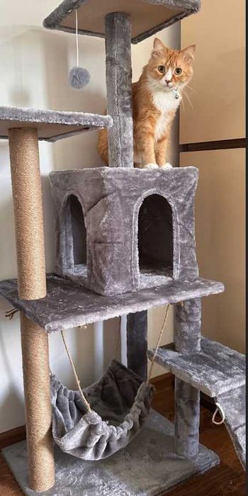 Drapak budka dla kota duży wysoki legowisko  drabinka słupek