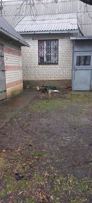 Продам дом в Жемчужное