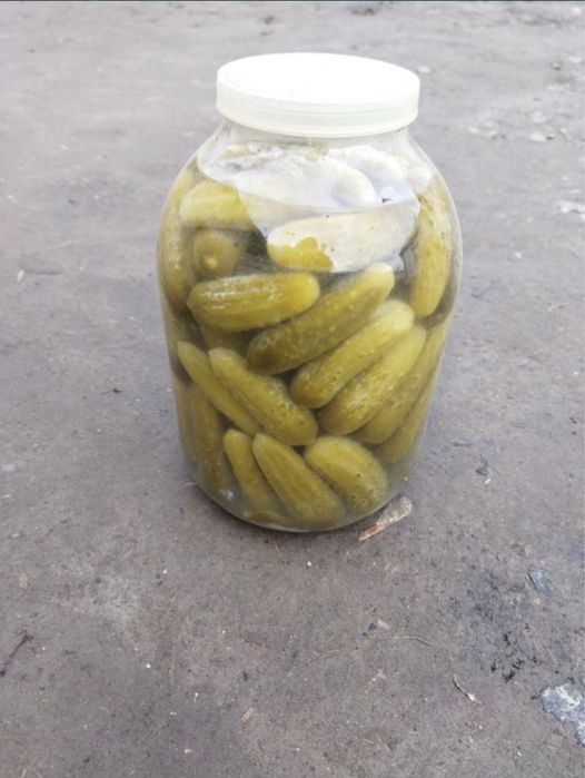 Квашені голандські огірки