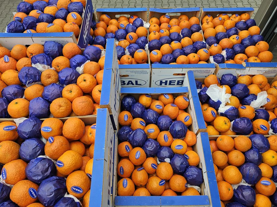 Mandarynka kraj pochodzenia Włochy Hiszpania