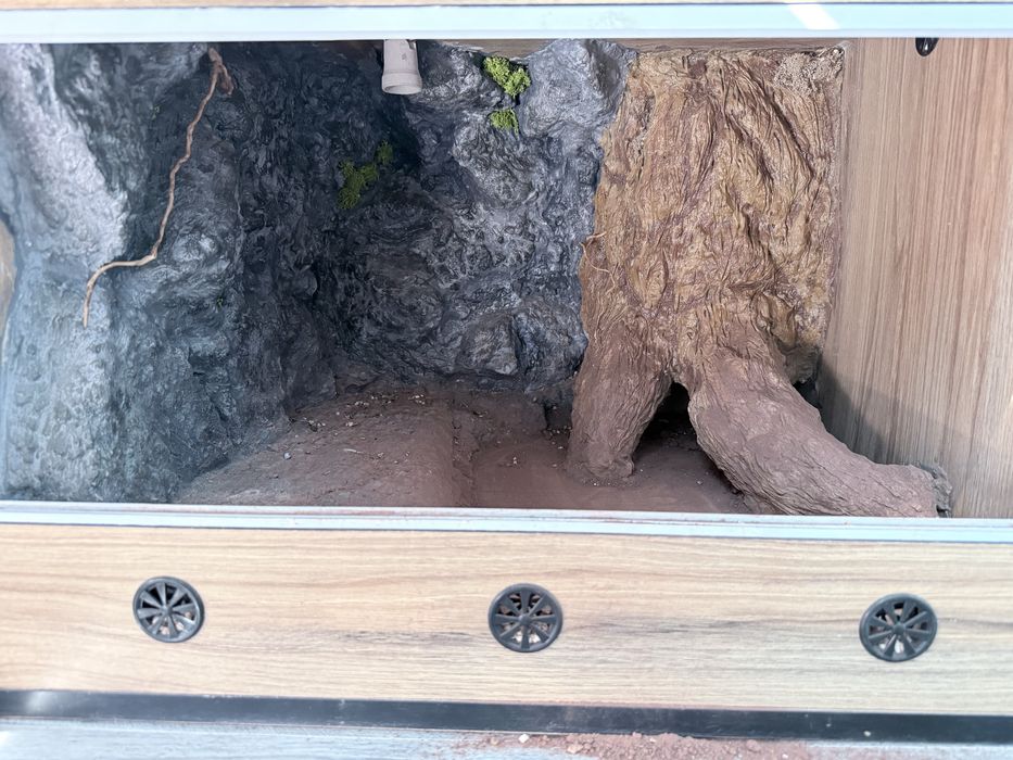 Terrarium dla agamy 70x70x50