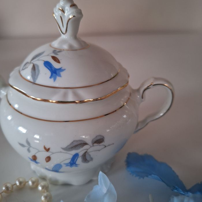 Piękna cukierniczka porcelanowa