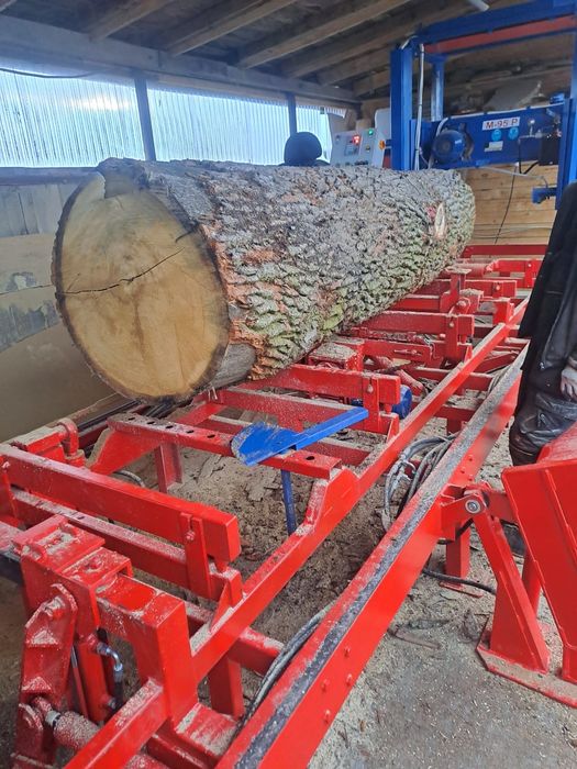 Usługa przecierania drewna trakiem taśmowym