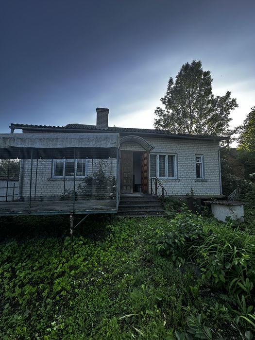 Продаж будинок з ділянкою 8 сот Золочівський район, с. Бортків, Медова