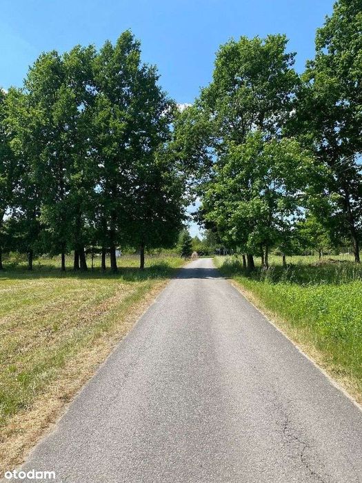 Wyjątkowa działka 6,12 ha z terenami zielonymi i warunkami zabudowy!