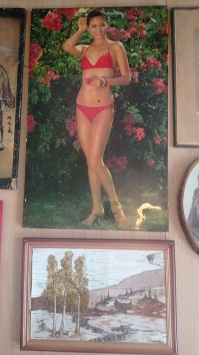 Картина винтаж СССР Канада Япония Европа  Нифертити,