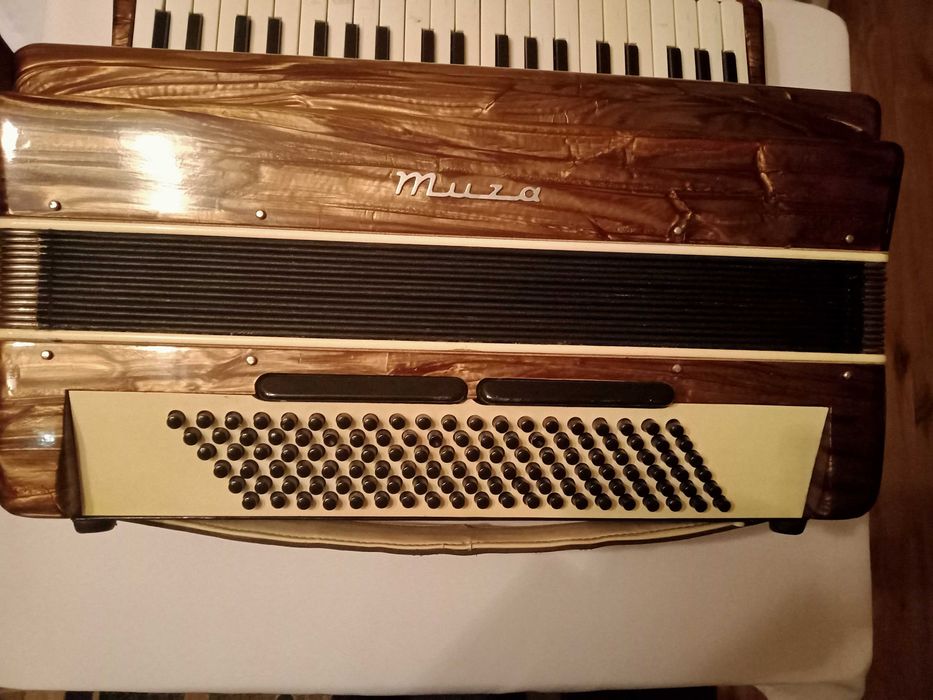 Akordeon Muza 120 bas