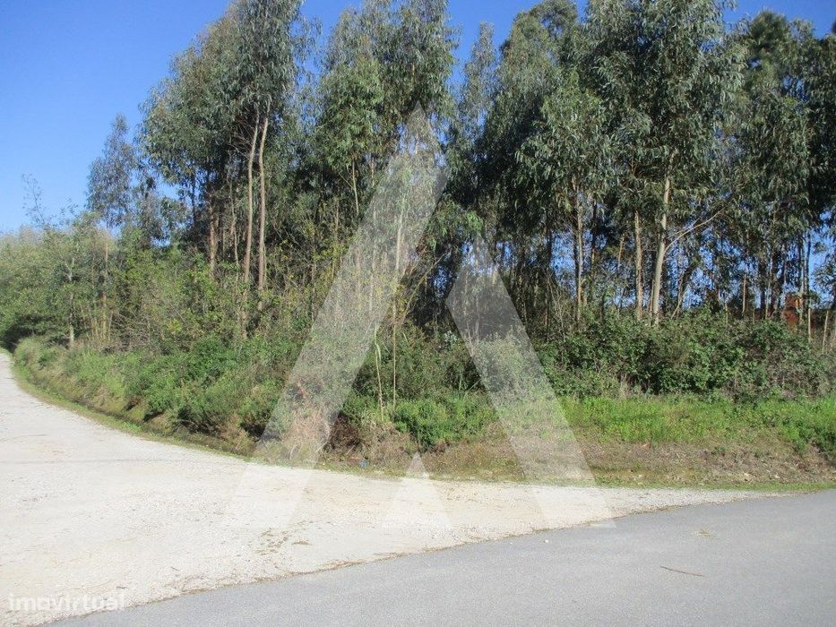 Terreno em Bustos