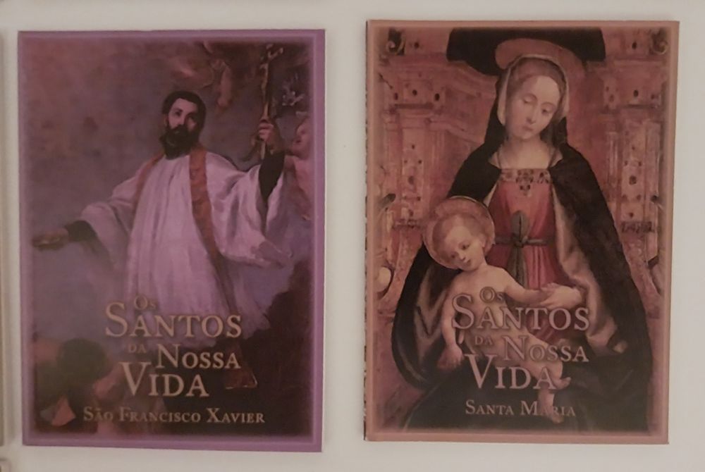 Livros - colecção os Santos da nossa vida