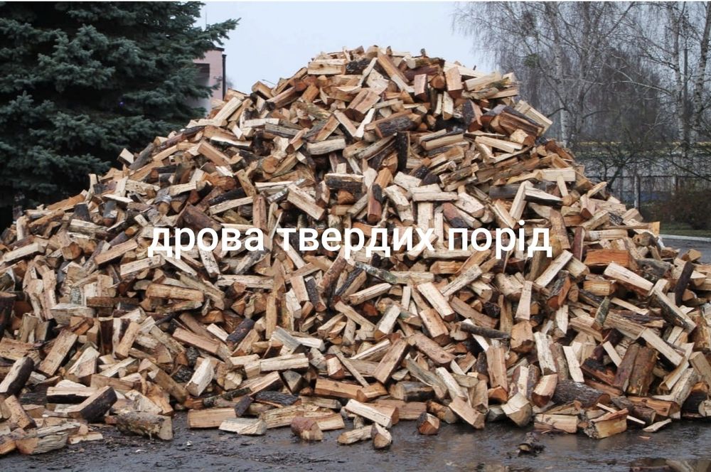 Дрова рубані твердих порід