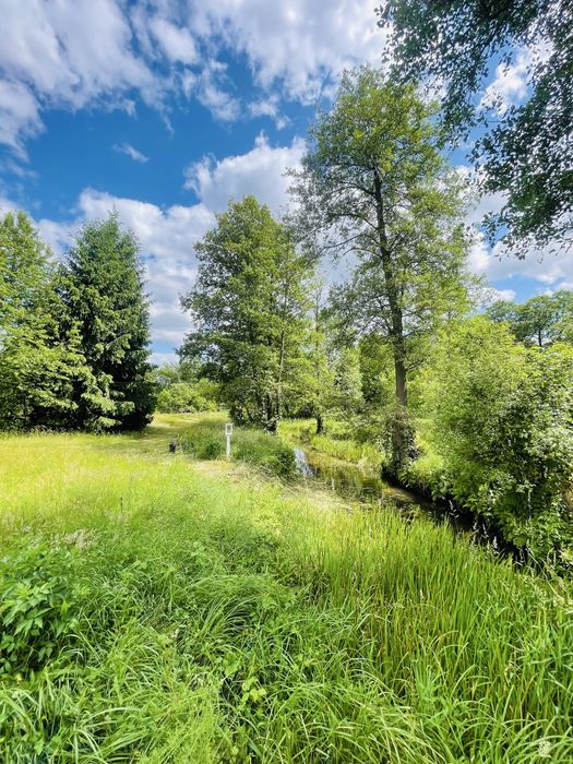 Przepiekne Siedlisko domek caloroczny 1h od Warszawy