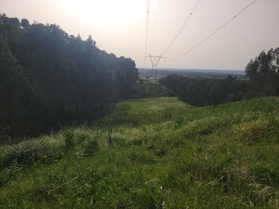 Quinta Urbano + Rústico - Vale Verde - Tremês - Santarém 19,5ha