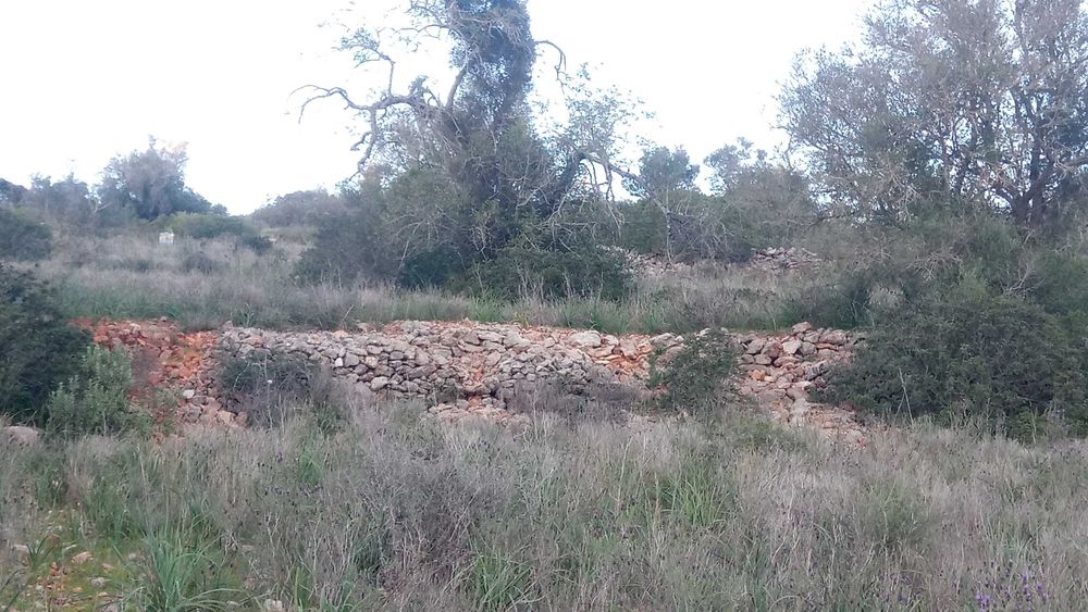 Terreno 4,6 Hect, ruína 120m2, Aldeia dos Matos, Paderne, Albufeira