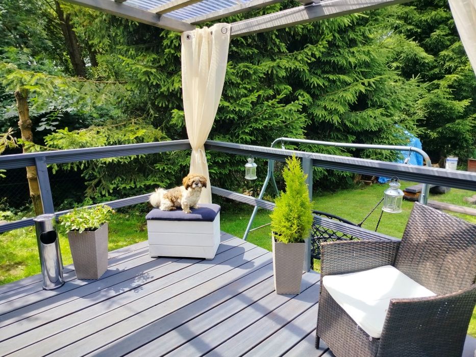 Domek na Kaszubach,BALIA sauna JACUZZI,staw, wieś
