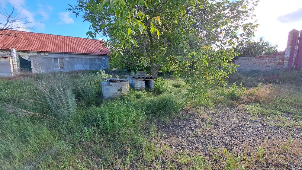 Ділянка 34 сот. в Коблево з будівлями