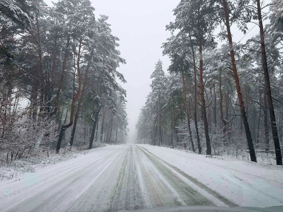 Оренда Тауну в комплексі, М Лісова, Лівий берег, ГЕНЕРАТОР БЕЗ КОМІСІІ