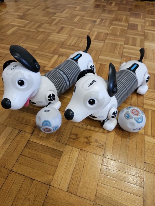 Pies interaktywny z pilotem