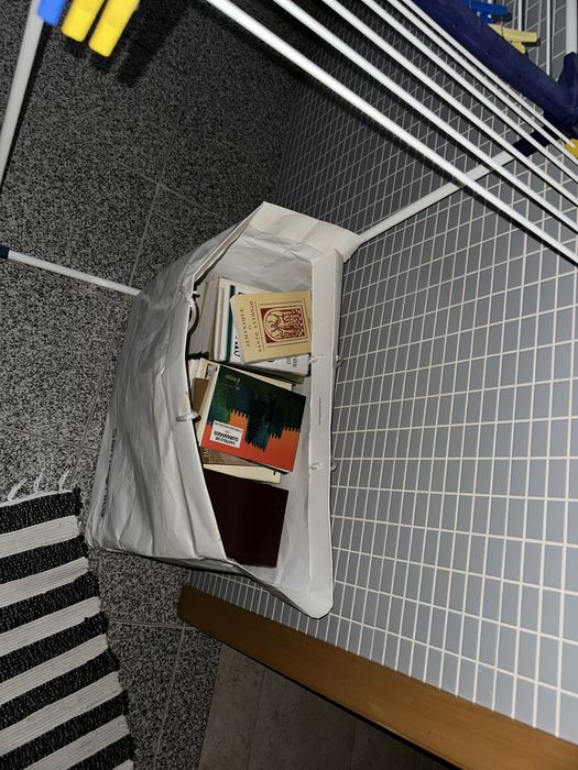 Lote livros variados