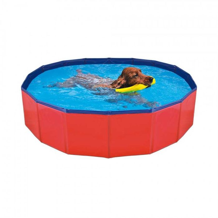 Piscina para Cães  – Diversão garantida no Verão!