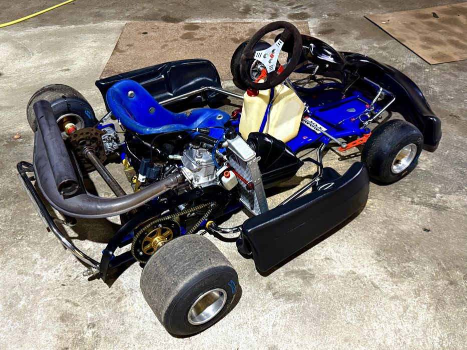 Top Kart Rotax 125