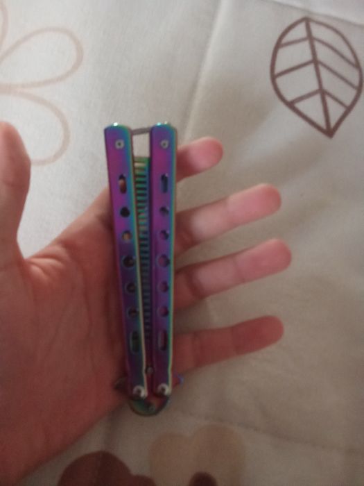 buterfly colorida com um pente no meio