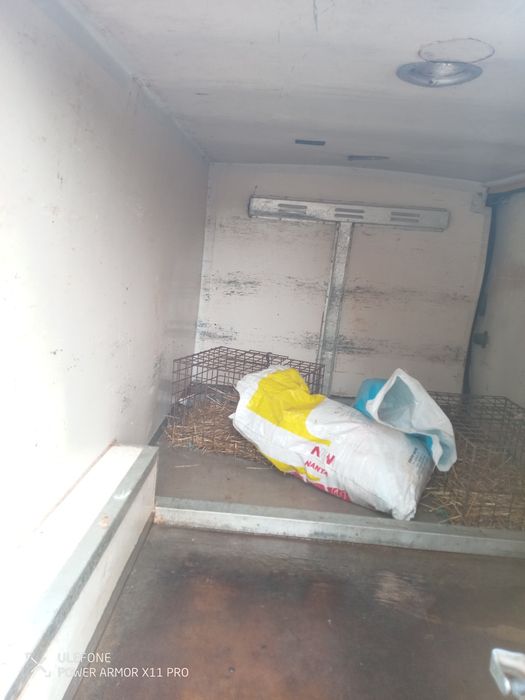 Renault trafic isotérmica longa