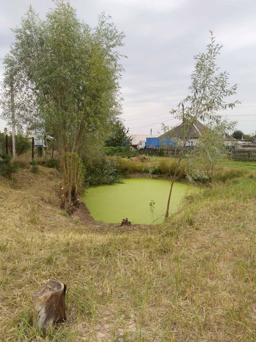 Домик в деревне у леса - с печкой, газом, бесперебойником!