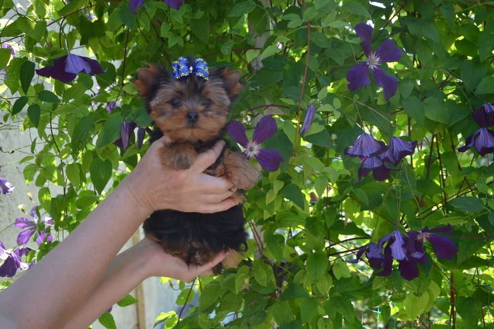 Гарненький хлопчик чекає на родину