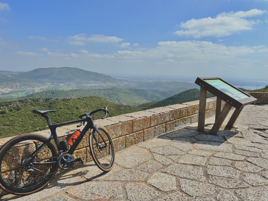Pinarello Prince