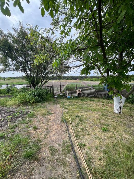 Продаємо затишний та комфортний будинок у зеленому с. Лозівок