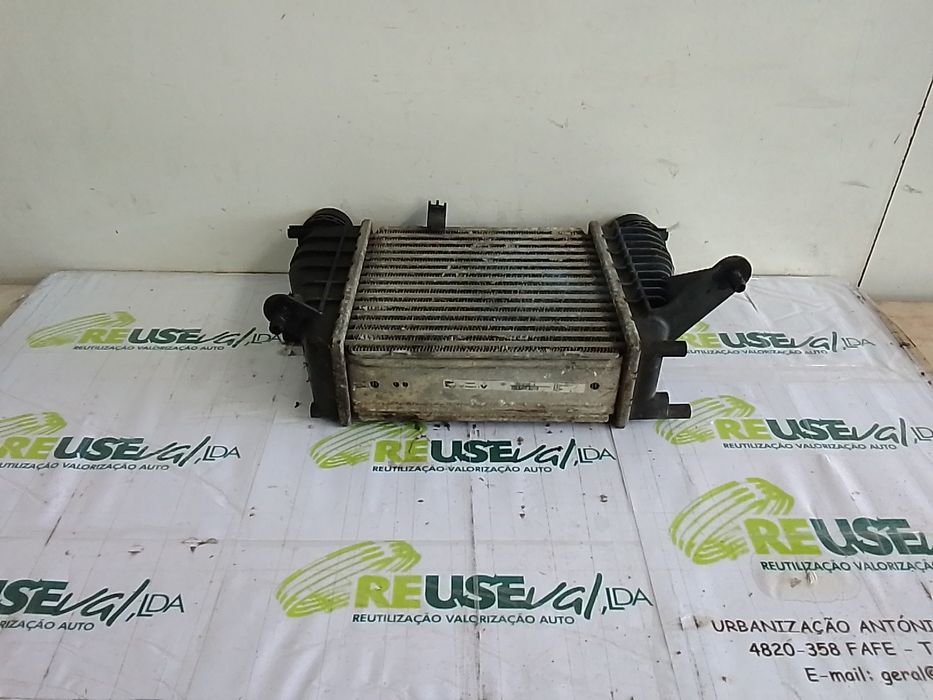 Radiador do intercooler RENAULT Clio III Société (SB_, SR_)