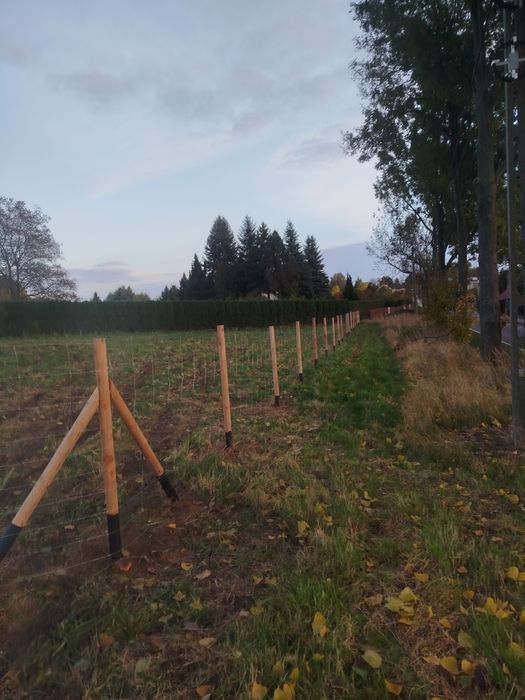 Ogrodzenie budowlane, ogrodzenie tymczasowe, ogrodzenie leśne