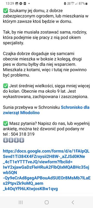 Suczk szuka.fsjnych ludzi