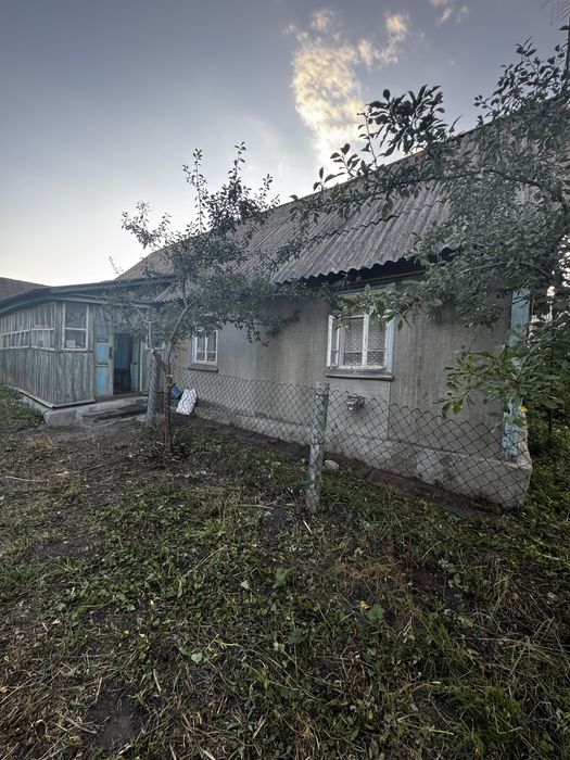 Продаж Будинок с. Кодня 50 сот землі