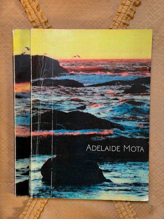 Lote Livros de Poesia