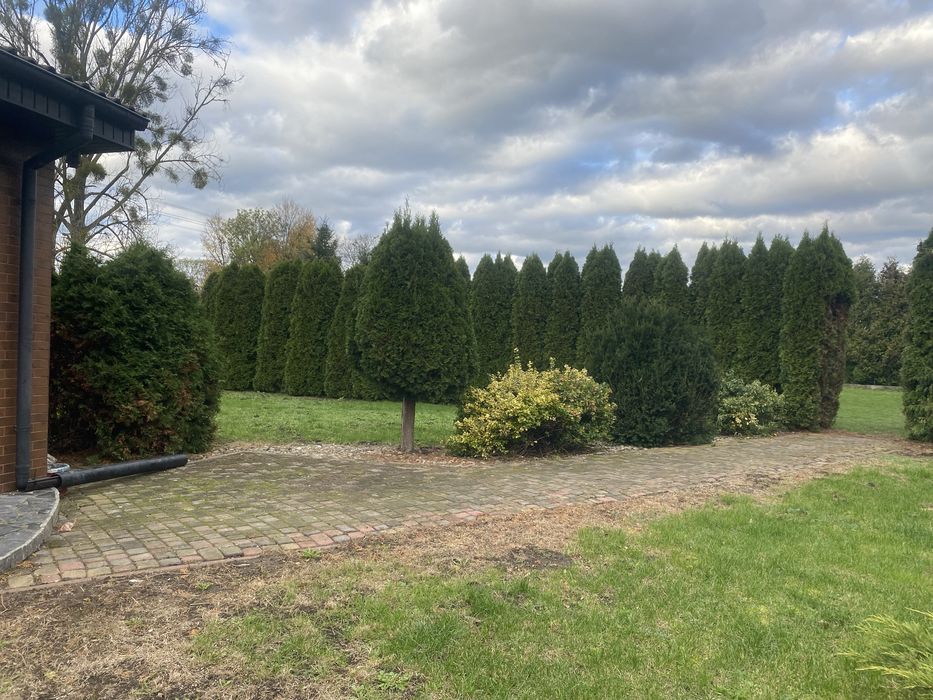 Dom plus hala garażowa