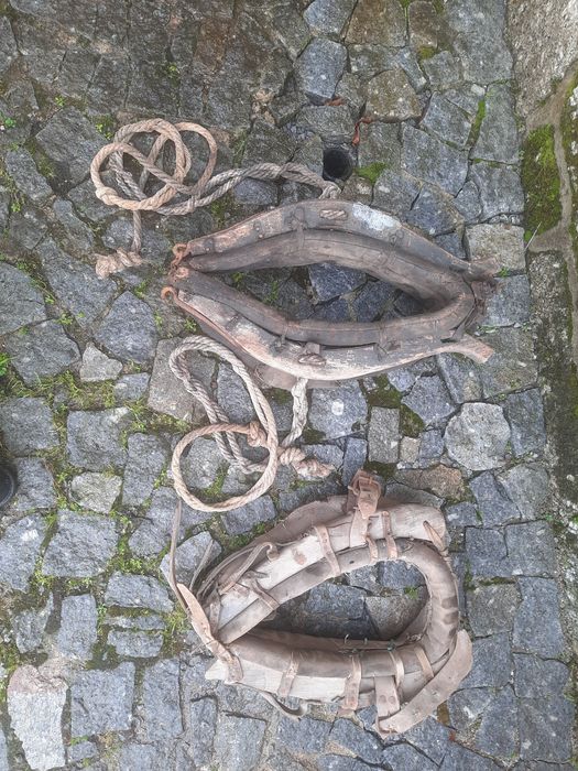 Artigos de cavalos. Monelhas antigas. De cavalaria. Em Travassós-Fafe