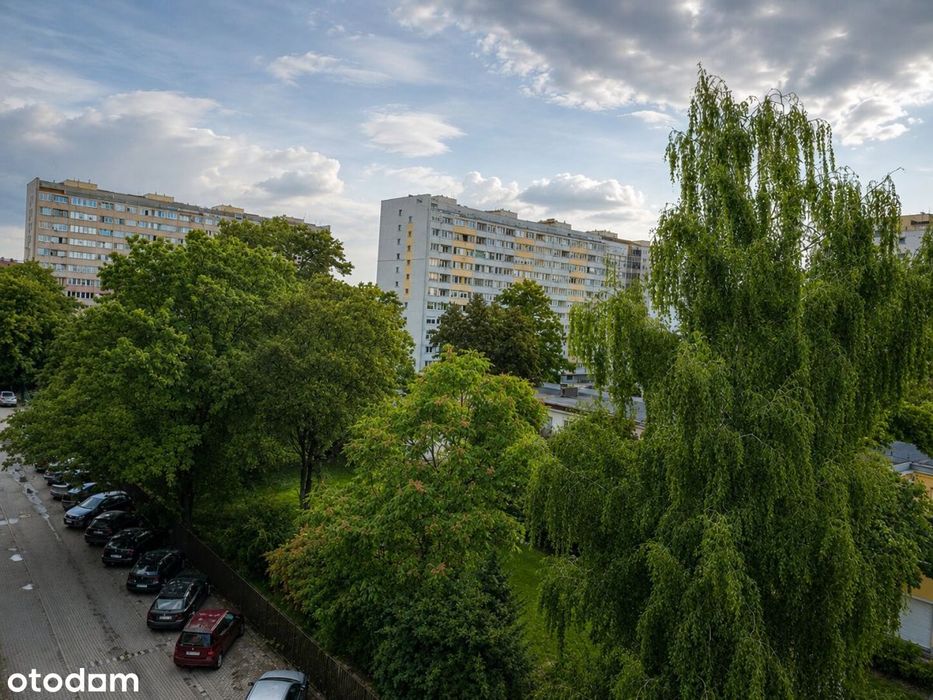 Funkcjonalny układ | 3 pokoje | Krucza | Wrocław